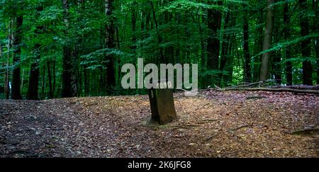 Alte Grenzlinie zwischen Belgien und Deutschland in Moresnet, Belgien Stockfoto