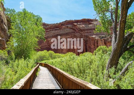 Die Promenade verläuft zwischen den Felswänden in der Nähe der Felszeichnungen im Capitol Reef National Park in Utah, USA Stockfoto