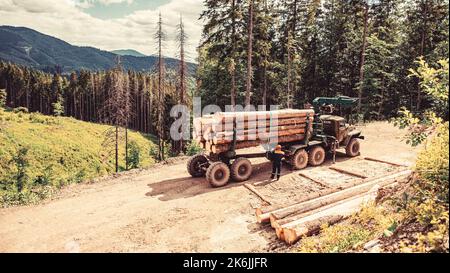 Fällen von Bäumen, Schnittbäumen, Waldschneidegebiet, Waldschutzkonzept. Holzfäller mit moderner Erntemaschine, die im Wald arbeitet. Forstwirtschaft Stockfoto