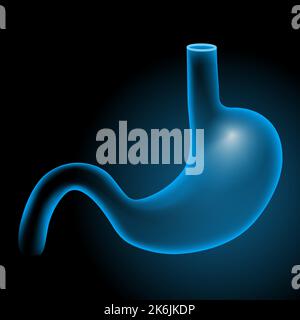 Magen auf dunklem Hintergrund. Anatomie des menschlichen Körpers. Röntgenblau realistisch. Vektorposter Stock Vektor