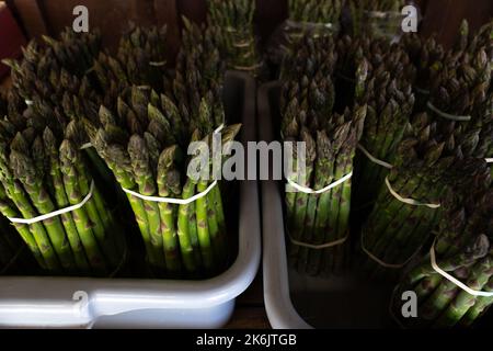 Nahaufnahme von Bunches von rohem wildem Spargel, gebunden mit Gummiband. Verkauf von grünem Gemüse auf dem Bauernmarkt Stockfoto