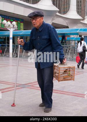 Älterer Chinese, der mit Hilfe eines Stockes vor dem Bahnhof Lanzhou in der Provinz Gansu, China, einen eingekalten songbird hält. VRC. (126) Stockfoto