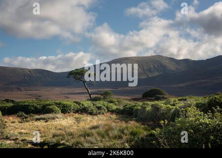 Beeindruckende Landschaft der weiten und abgelegenen Torfgebiete am Rand des Wild Nephin National Park, co Mayo, Irland. Stockfoto