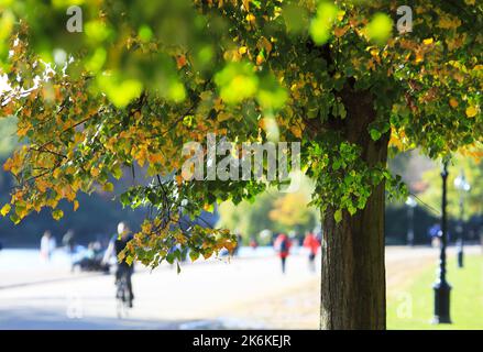 Herbstfarben und warmes Wetter durch das Serpentine im Hyde Park, in London, Großbritannien Stockfoto