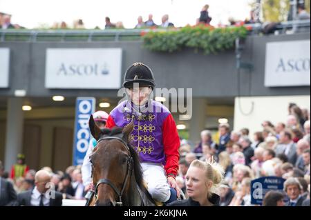 Ascot, Bergen, Großbritannien. 20.. Oktober 2012. Ihre Majestät das Pferd Carlton House der Königin, das von Jockey Ryan Moore geritten wurde, belegte den vierten Platz bei den Einsätzen von Queen Elizabeth II. Trainer Sir Michael Stoute Stockfoto