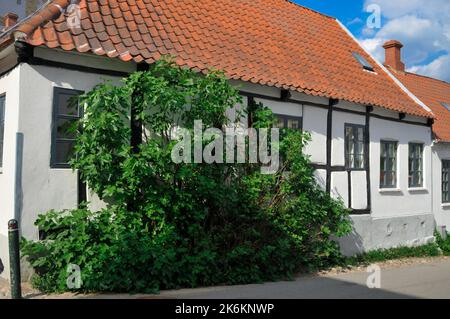 BILLUM, DÄNEMARK- 28/JUNI/2010: Altes traditionelles dänisches ländliches weißes Haus mit rotem Dach in Dänemark Stockfoto