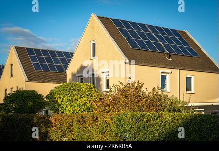 Sonnenkollektoren auf Dächern moderner Häuser, größtes Photovoltaik-Viertel der Niederlande in der Stadt Heerhugowaard Stockfoto
