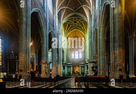 Innenansicht der St.-Bavo-Kathedrale in Gent, Belgien Stockfoto