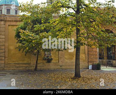 Herbst in Ravenna Stockfoto