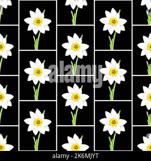 Nahtloses Muster aus Narzissenblüte, hochwertige Vektor-botanische Illustration Stock Vektor