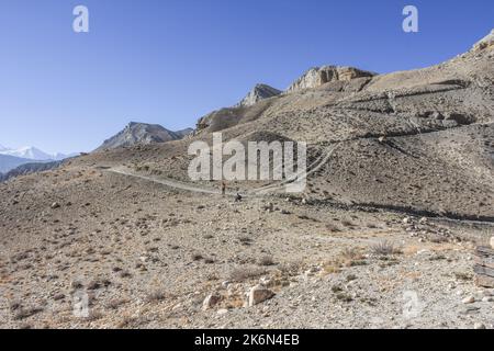 Trekking auf Bergwegen im Oberen Mustang, im Himalaya, Nepal, Südasien Stockfoto