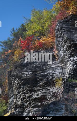 USA. 14. Oktober 2022. New York State Fall Wetter und Baum Farbe / Farbe Kredit: Don Mennig/Alamy Live News Stockfoto