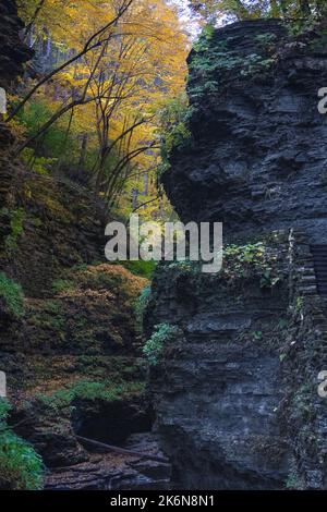 USA. 14. Oktober 2022. New York State Fall Wetter und Baum Farbe / Farbe Kredit: Don Mennig/Alamy Live News Stockfoto