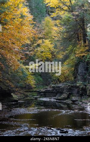 USA. 14. Oktober 2022. New York State Fall Wetter und Baum Farbe / Farbe Kredit: Don Mennig/Alamy Live News Stockfoto