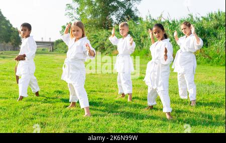 Tweenagers verschiedener Nationalitäten lernen Karate bewegt sich auf grünem Rasen Stockfoto