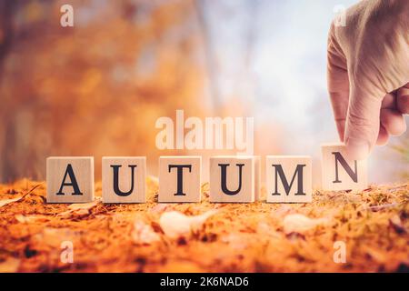 Das Wort Herbst aus Würfeln auf Englisch. Herbsthintergrund des Laubfalles im Wald, eine Hand komponiert Wörter aus Würfeln. Stockfoto