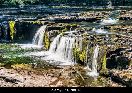 Upper Force, der höchste Teil der Aysgarth Falls am Fluss Ure in Wnsleydale, North Yorkshire. Stockfoto