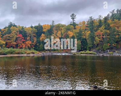 Faszinierende Herbstfarben/Herbstfarben/Laub an der Batchawana Bay/Chippewa Falls/River-Ontario/Canada Stockfoto