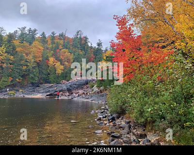 Faszinierende Herbstfarben/Herbstfarben/Laub an der Batchawana Bay/Chippewa Falls/River-Ontario/Canada Stockfoto