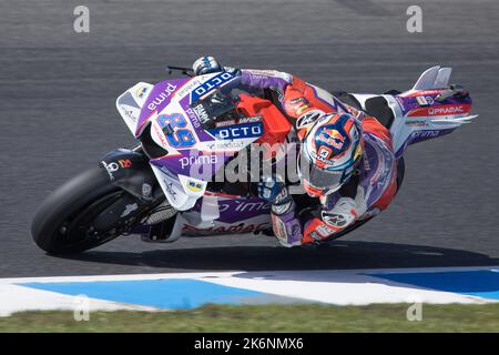 15. Oktober 2022: Jorge Martin (SPA) auf der Nr.89 Ducati von Prima Pramac Racing am Qualifikationstag für den Animoca Brands Australian Grand Prix 2022 auf dem Phillip Island Grand Prix Circuit, Victoria, Australien. Sydney Low/Cal Sport Media Stockfoto