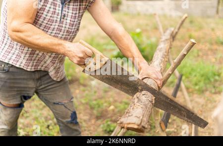 Nahaufnahme eines Holzfällers, der ein Holz hackt Stockfoto
