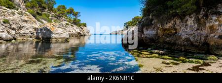 Geheime Spitze unberührte natürliche Badebucht im Südwesten von Mallorca in der Gegend von Calvia namens Cala Figuera mit ruhigem klarem Wasser und Seetang. Stockfoto