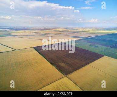 Patchwork Wiesen und Felder. Ackerland von oben. Luftaufnahme von landwirtschaftlichen Wiesen. Naturzusammensetzung. Stockfoto