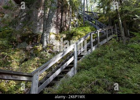 Holztreppen führen den Hügel hinauf auf einem Wanderweg in einem finnischen Wald, dem Repovesi-Nationalpark in Kouvola Stockfoto