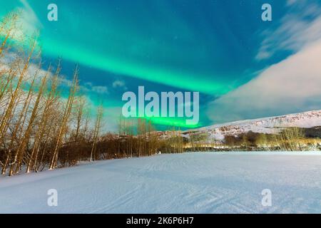 Nordlichter über dem Campingplatz, nordöstliche Region, Island, Europa. Stockfoto