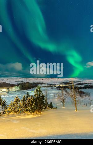 Nordlichter über dem Campingplatz, nordöstliche Region, Island, Europa. Stockfoto