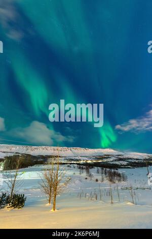 Nordlichter über dem Campingplatz, nordöstliche Region, Island, Europa. Stockfoto