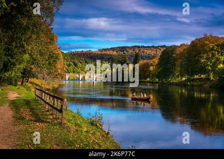 Herbst am Ufer des Flusses Tay in der Nähe des Dorfes Dunked, Perth & Kinross, Schottland, Großbritannien Stockfoto