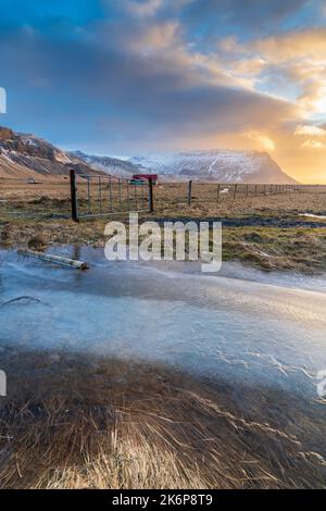 Isländischer Winterausflug zwischen Seljalandsfoss und Skogafoss Wasserfall, südliche Region. Stockfoto
