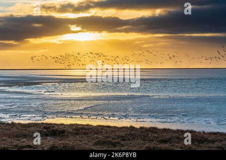 Isländischer Winterausflug zwischen Seljalandsfoss und Skogafoss Wasserfall, südliche Region. Stockfoto