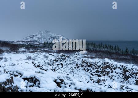 Winterlandschaft in der Nähe von Thingvellir, Südregion, Island, Europa. Stockfoto