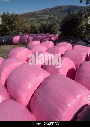 Vertikale Ansicht von schwarzen und rosafarbenen Heuballen in Kunststoff verpackt und üppig grüne Landschaft im Hintergrund. Stockfoto