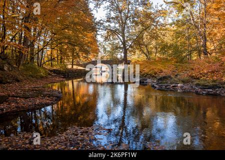 Stone Arch Bridge in Callicoon, NY, Catskill Mountains, umgeben von brillantem Herbstlaub an einem hellen Herbstmorgen Stockfoto