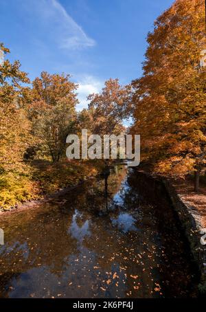 Stone Arch Bridge in Callicoon, NY, Catskill Mountains, umgeben von brillantem Herbstlaub an einem hellen Herbstmorgen Stockfoto