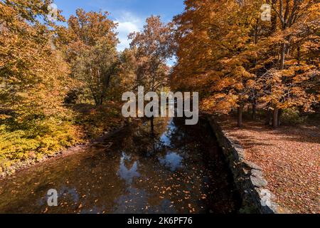 Stone Arch Bridge in Callicoon, NY, Catskill Mountains, umgeben von brillantem Herbstlaub an einem hellen Herbstmorgen Stockfoto