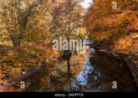 Stone Arch Bridge in Callicoon, NY, Catskill Mountains, umgeben von brillantem Herbstlaub an einem hellen Herbstmorgen Stockfoto