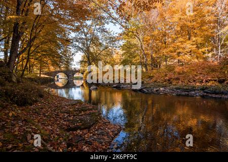 Stone Arch Bridge in Callicoon, NY, Catskill Mountains, umgeben von brillantem Herbstlaub an einem hellen Herbstmorgen Stockfoto