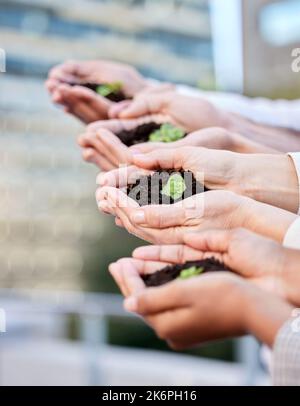 Wir haben alle Dinge zum Arbeiten. Eine Gruppe von nicht erkennbaren Geschäftsleuten, die bei der Arbeit Pflanzen im Boden halten. Stockfoto
