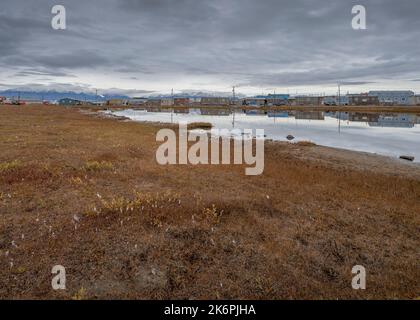 Teicheinlasshäuser spiegeln sich in einem Tundra-Teich mit den Byam Martin Mountains im Hintergrund wider Stockfoto