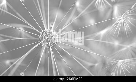 3D Graustufendarstellung eines einfachen geometrischen fraktalen Objekts, das einem Feuerwerk oder einem Dandelion ähnelt. Stockfoto