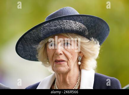 Der Queen Consort während des QIPCO British Champions Day auf der Ascot Racecourse, in der Grafschaft von Bekshire. Bilddatum: Samstag, 15. Oktober 2022. Stockfoto