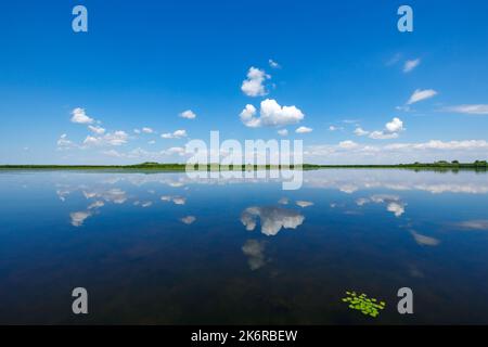 Wolkenspiegelung im Donaudelta Stockfoto