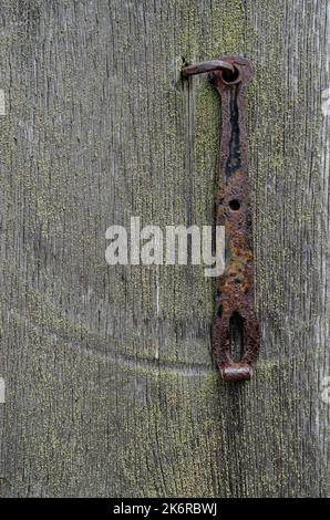 Ländliche Holztür mit einem Metallhaken Minimalismus, Farbe, Geometrie, Linien, Textur, Holz, Dorf, Stadt, Gebäude, Drähte, Dach, Himmel, Gefälle, alt, vinta Stockfoto