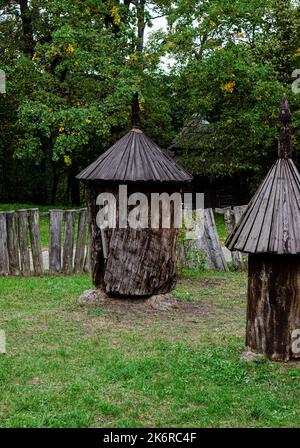 Rustikale Holzhütte in einem Wald aus dem Stamm eines Baumes mit einem geschnitzten Schindeldach gebildet stehen in einem grünen Wald froh Stockfoto