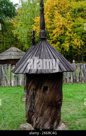 Rustikale Holzhütte in einem Wald aus dem Stamm eines Baumes mit einem geschnitzten Schindeldach gebildet stehen in einem grünen Wald froh Stockfoto