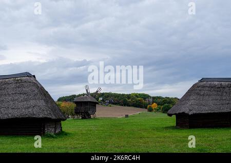 Rustikale Holzhütte in einem Wald aus dem Stamm eines Baumes mit einem geschnitzten Schindeldach gebildet stehen in einem grünen Wald froh Stockfoto